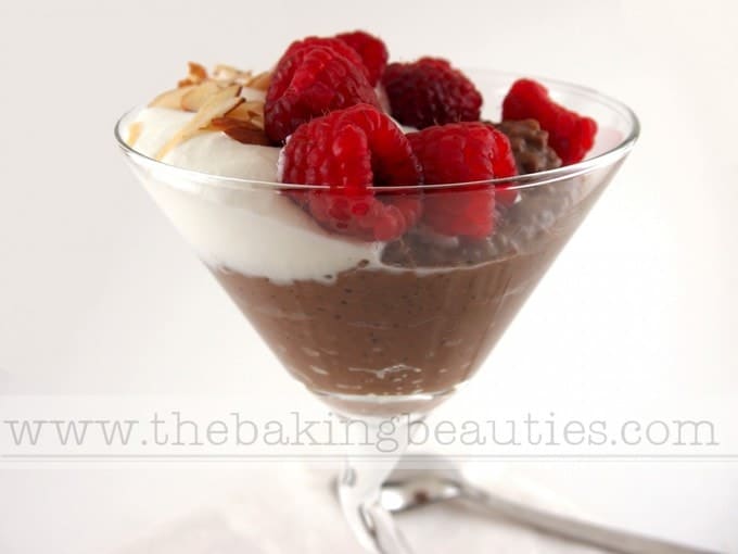 Creamy Chocolate Tapioca Pudding with Raspberries (gluten-free) | The Baking Beauties