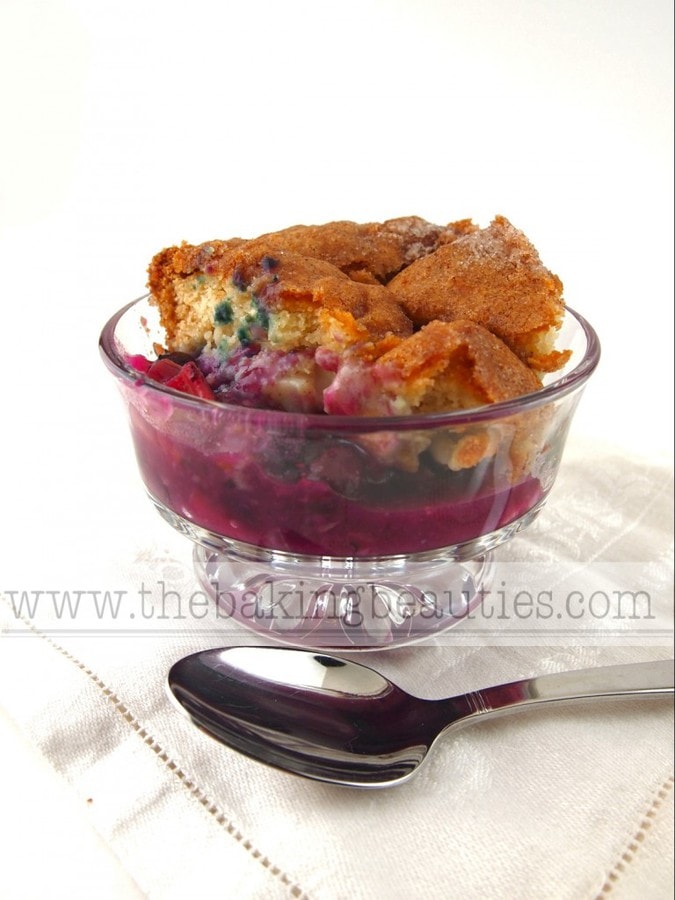 Gluten-free Blueberry-Rhubarb Cobbler | The Baking Beauties