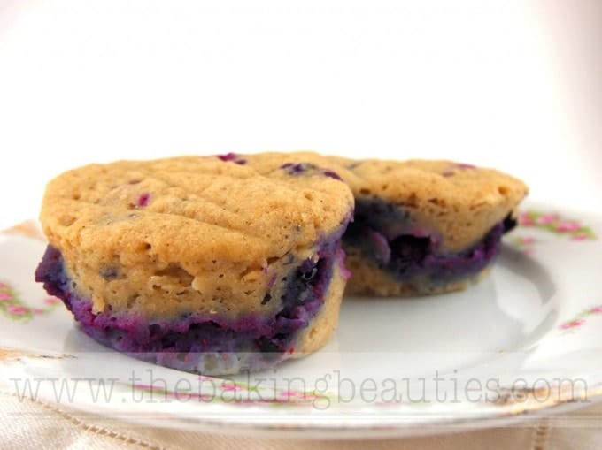 Gluten-free in 5 Minutes Review - Blueberry Muffins