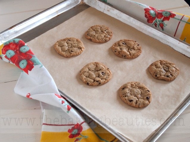 Chewy Gluten Free Oatmeal Chocolate Chip Cookies from The Baking Beauties