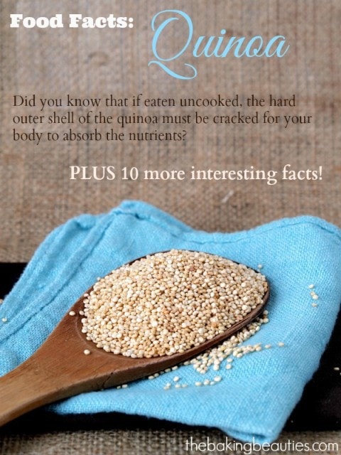 Food Facts About Quinoa from The Baking Beauties